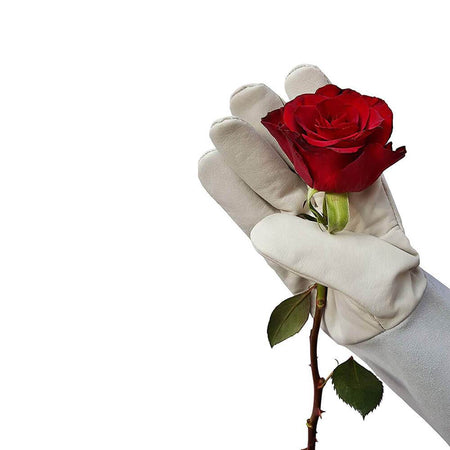 Product Right Thumbs and Bundle