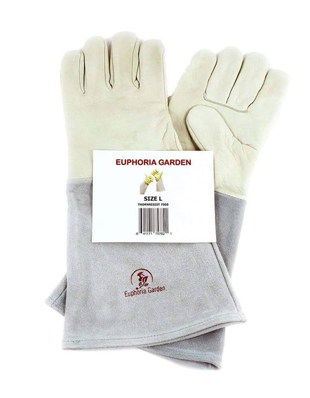 Product Image Listing