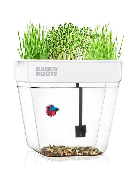 Water Garden Betta Fish Tank