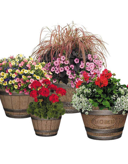 Whiskey Barrel Planter