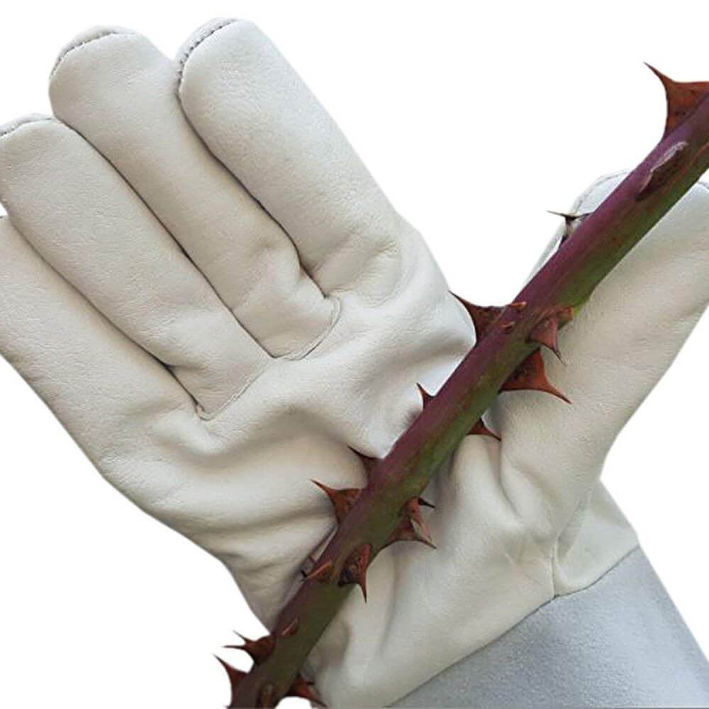 Product Image Middle