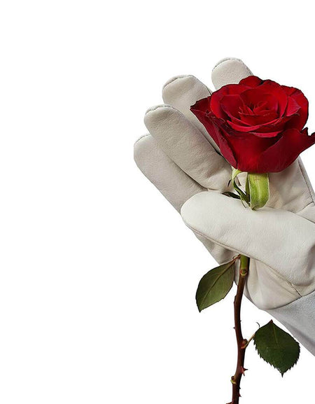 Product Right Thumbs and Bundle