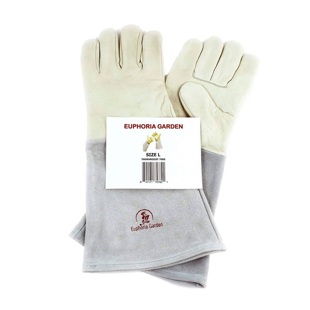 Product Right Thumbs and Bundle