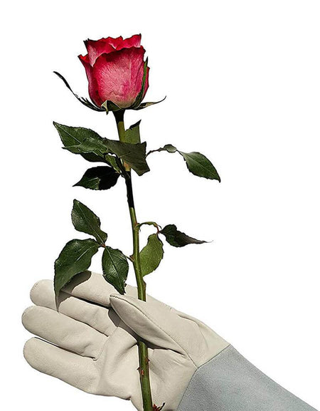 Product Default Layout