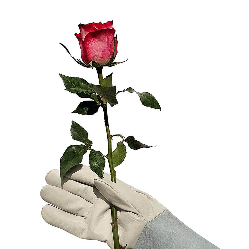 Product with Image Gallery