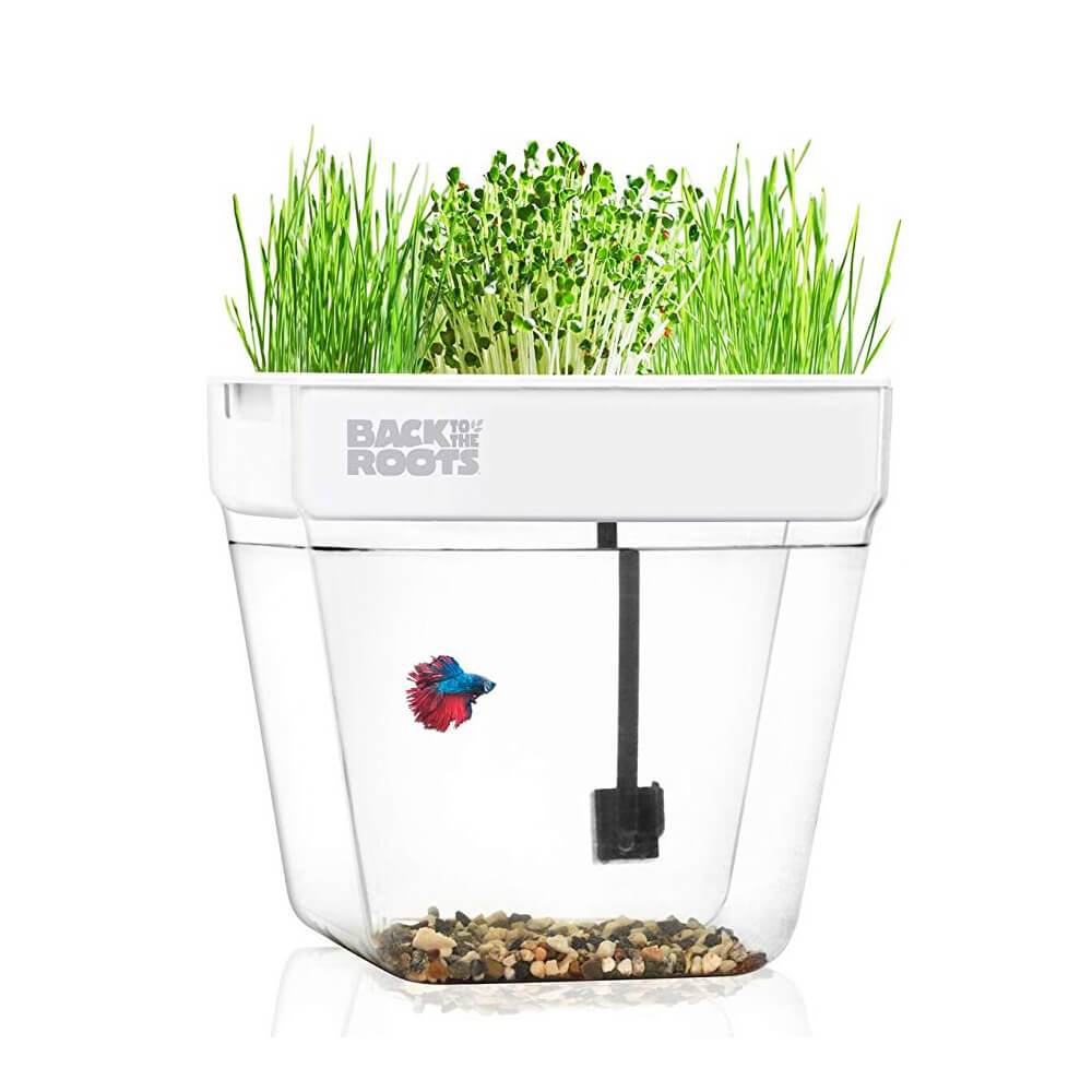 Water Garden Betta Fish Tank