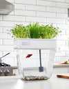 Water Garden Betta Fish Tank