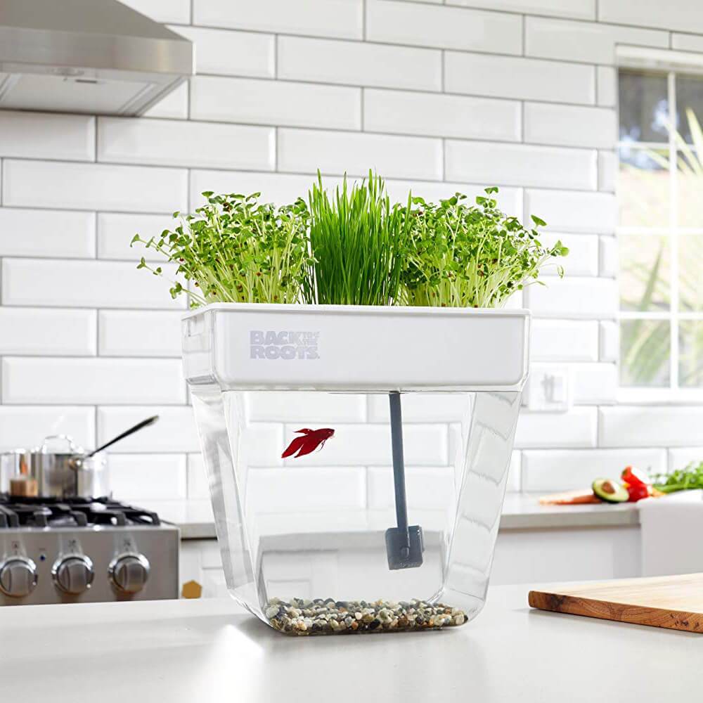 Water Garden Betta Fish Tank