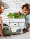 Water Garden Betta Fish Tank