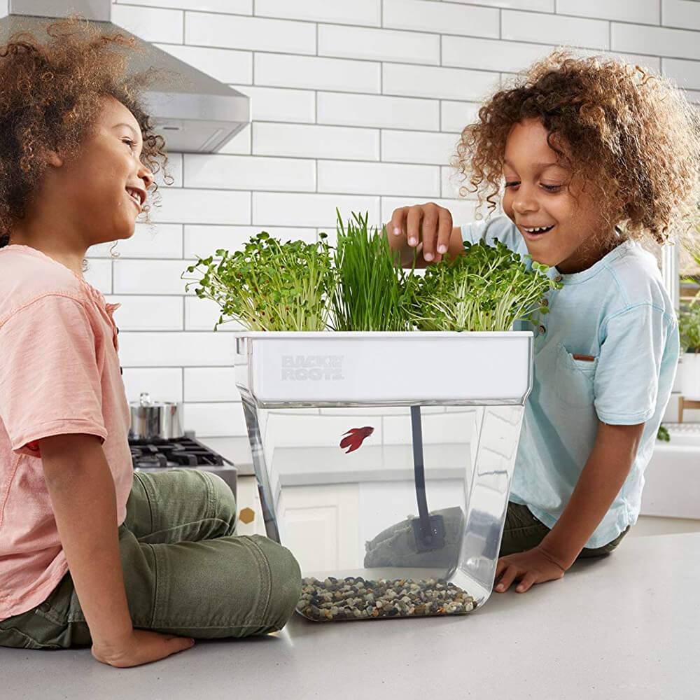 Water Garden Betta Fish Tank