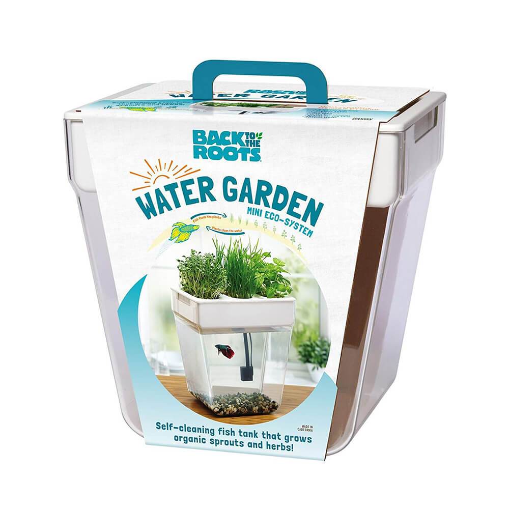 Water Garden Betta Fish Tank