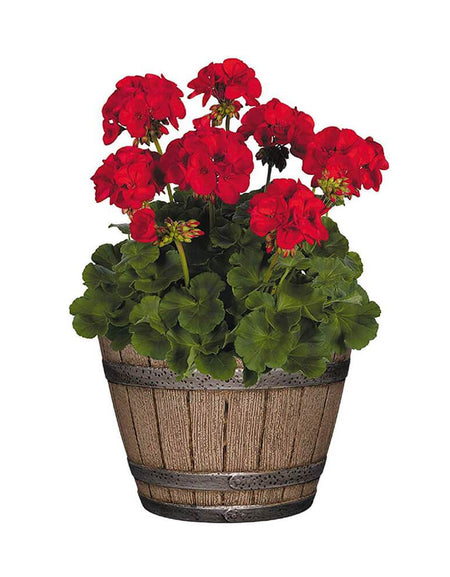 Whiskey Barrel Planter