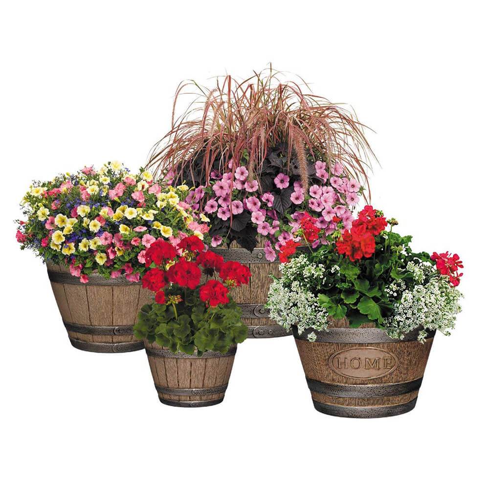 Whiskey Barrel Planter